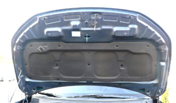 سانج يونج تيفولي ممتلئ