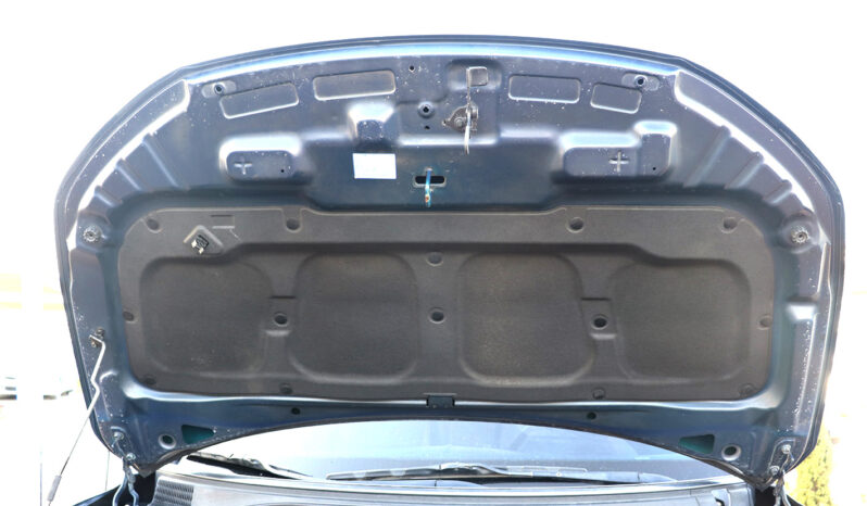 سانج يونج تيفولي ممتلئ