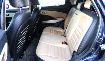 سانج يونج تيفولي ممتلئ